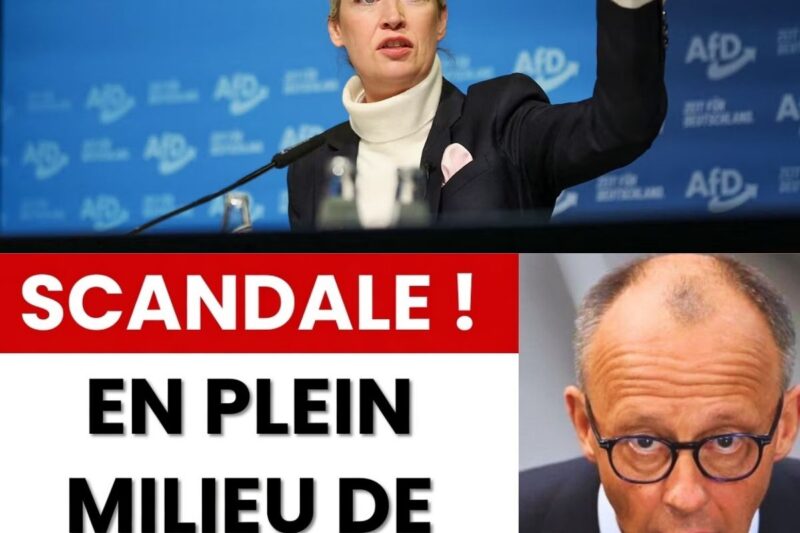 Tumulte au Bundestag : Les révélations fracassantes d’Alice Weidel sur l’agenda caché de 2026