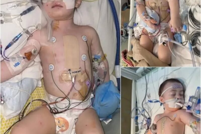 « Priez pour Millie : le combat d’une petite fille pour son cœur qui bat ».