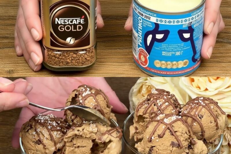 Mescola il latte condensato con il caffè! Il dessert preferito di quest’estate! Non serve la cottura!