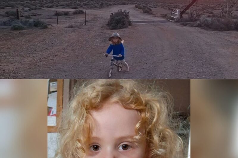VIDÉO Disparition de Gus Lamont, 4 ans : la zone est totalement désertique, les images impressionnantes des recherches