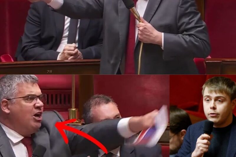 Un député RN se fait insulter de collabo par LFI, ça tourne mal !