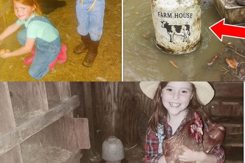 Des filles disparaissent de la ferme familiale. Trois ans plus tard, un aimant attire cet objet dans un ruisseau voisin…