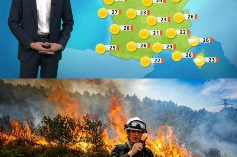 Canicule : 58 départements en vigilance rouge, des hectares de forêts brûlés