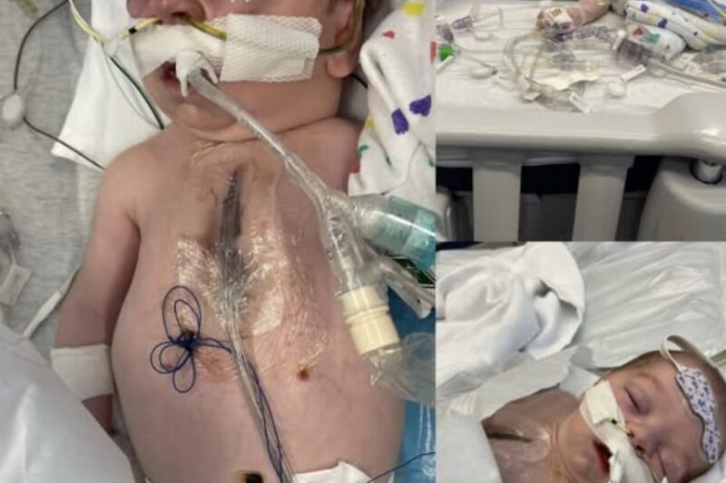 La petite fille aux deux cœurs : comment Olivia Ulbricht, trois ans, est devenue un symbole de force, d’espoir et de miracles.