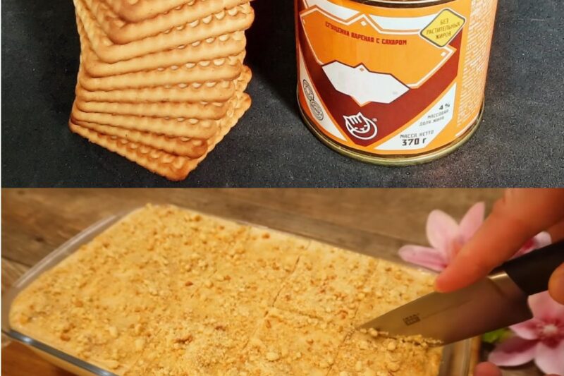Il dolce della svolta: bastano 10 minuti per un dessert da sogno con biscotti e latte condensato che sta conquistando il web