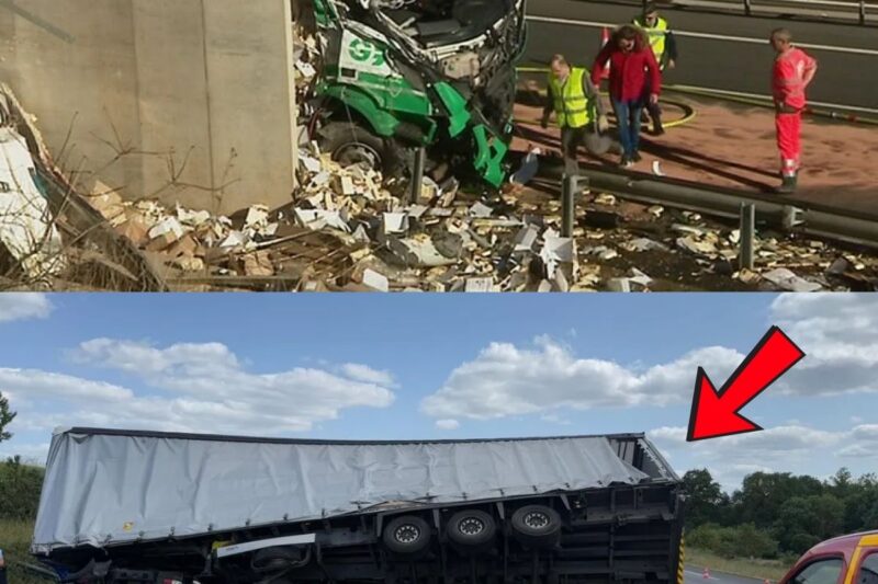 Le Jour Où l’Autoroute a Retenu Son Souffle : Un Mastodonte Fou Sème la Terreur Près de Toulouse