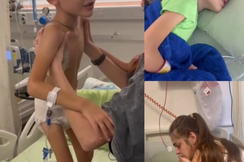 « Le dernier souhait du lion : s’il vous plaît, ne me quittez pas »