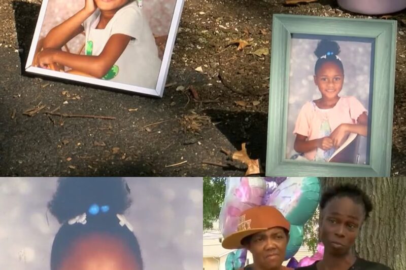 “Quand un cœur brillant cesse de battre : le mystère derrière la mort subite de Precious Royalty Lewis”