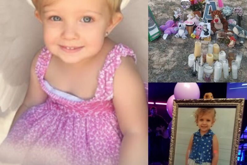 Le silence d’une mère, la souffrance d’un enfant — et la vérité qui a finalement éclaté.