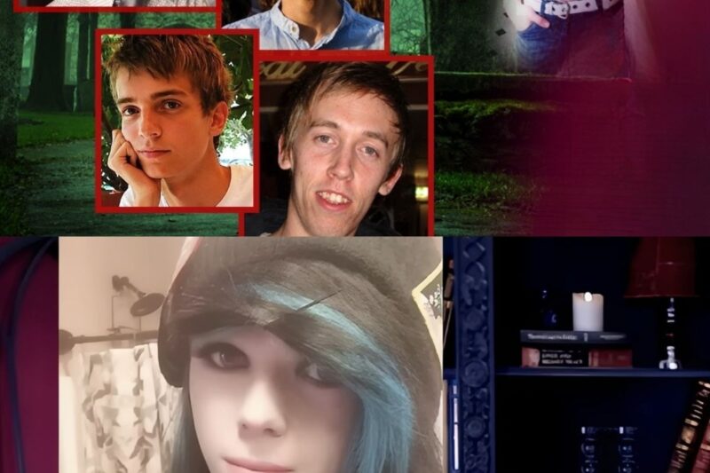 Giovani uomini insolitamente belli vengono trovati morti uno dopo l’altro; chi è il colpevole che li ha massacrati?