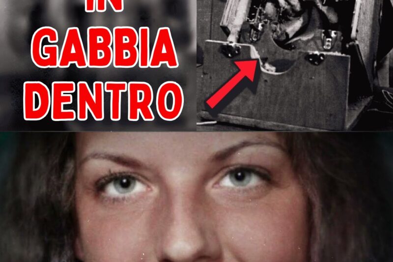 Il capo di una setta e il suo harem di torturatori rinchiudono le donne in scatole per 23 ore al giorno.
