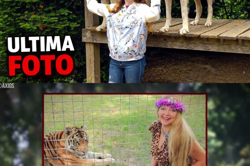 Un’ora delle morti più sconvolgenti di proprietari uccisi dai loro animali domestici…