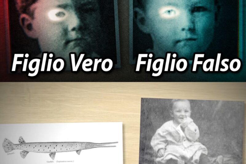 La famiglia che non ha mai saputo che il figlio era stato sostituito