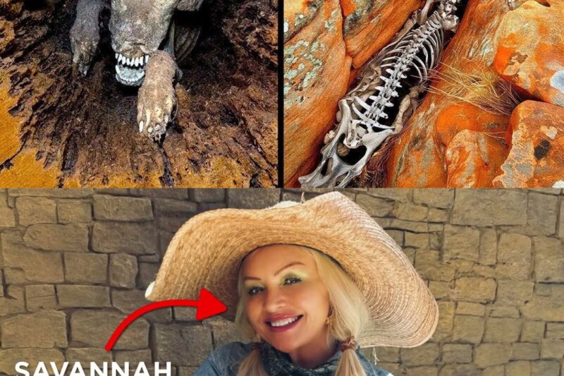 Animali unici che la natura ha trattato ingiustamente.