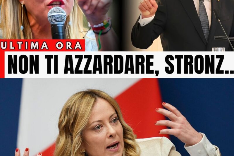 MELONI ZITTISCE LA GERMANIA: LA FRASE SHOCK A STEINMEIER