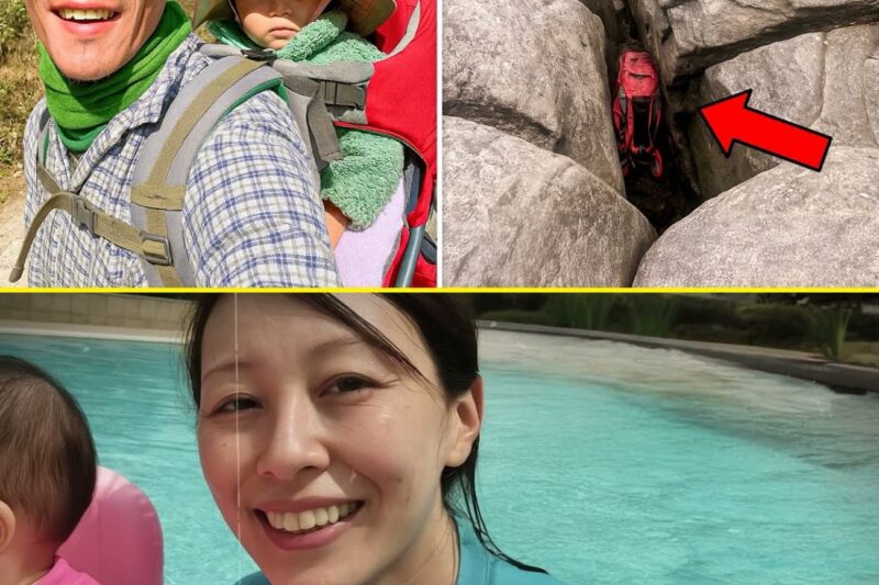 Padre e figlia scomparsi tra le Great Smoky Mountains, 5 anni dopo degli escursionisti ritrovano questo incastrato in una fessura…
