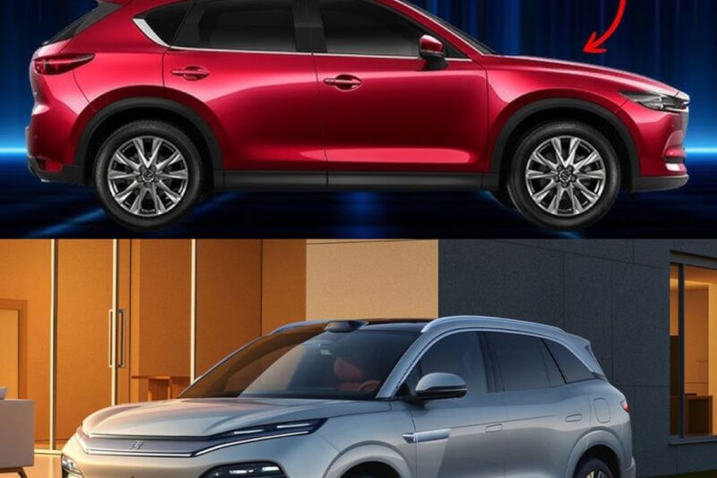Auto 2025: 7 modelli da evitare e 5 certezze su cui puntare