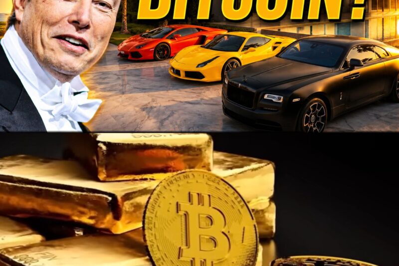 La verità su Bitcoin nel 2026: la macchina dei miracoli è morta, ma la ricchezza si fa ancora nel silenzio