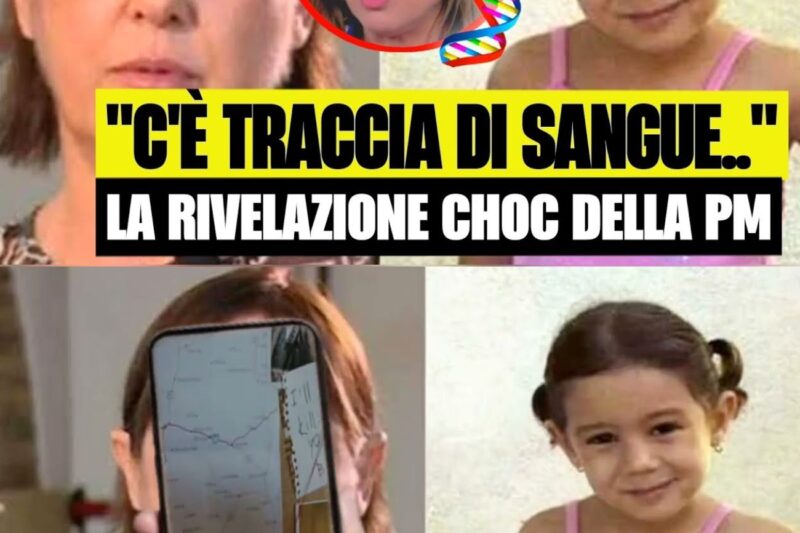 Denise Pipitone, possibile svolta shock nel caso: la clamorosa rivelazione dell’ex pm sulla traccia di sangue ignorata