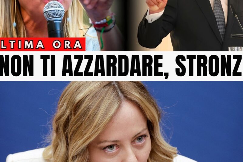 Giorgia Meloni sfida la Germania: scontro totale con Steinmeier e accuse shock sui patti energetici