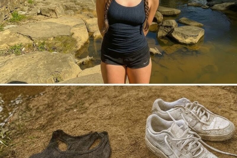Una ragazza è scomparsa durante un’escursione alle cascate: sei mesi dopo, il fiume le restituisce qualcosa…