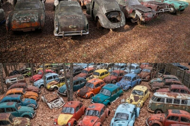 Specialista di VW, Aston Martin, Porsche e MG svela il suo tesoro ritrovato in un fienile.