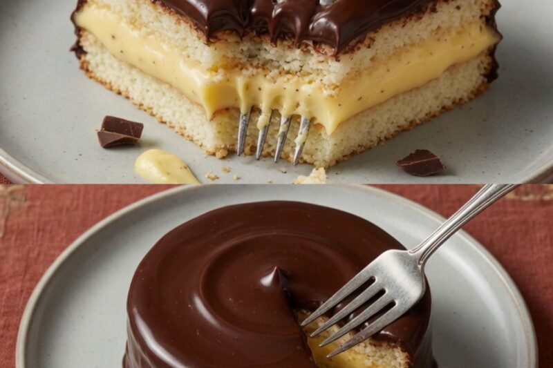L’été approche et voici mon gâteau froid que tout le monde adore : riche en protéines et tellement de lait et de crème au chocolat qu’on ne peut plus s’arrêter d’en manger !