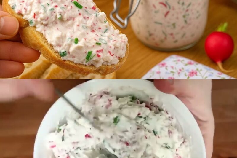 Crème de Radis qui change tout ! Recette Rapide Idéale pour l’Apéro ou un Pique-nique
