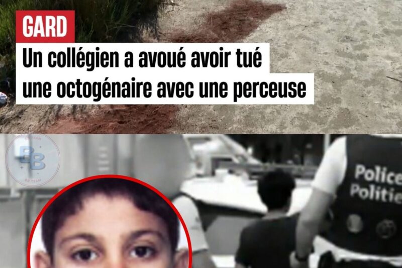 “Un besoin viscéral de faire du mal” : les aveux glaçants de l’adolescent de 15 ans qui a tué une octogénaire, il a été mis en examen pour assassinat