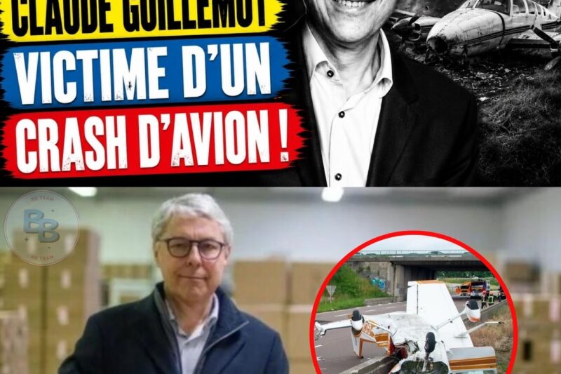 Tragédie dans le jeu vidéo : Claude Guillemot, co-fondateur d’Ubisoft, meurt brutalement dans un crash d’avion à La Baule
