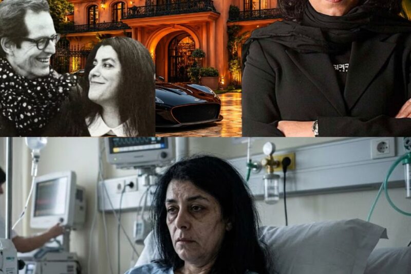 Marjane Satrapi : Cause du décès | Auteure de Persépolis : Famille, Mari, Fortune et style de vie !